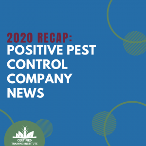 PST - 2020 Positivity Recap